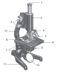 Bentuk Mkroskop Dan Bagian Mikroskop