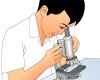 Menggunakan Mikroskop Dan Merawat Mikroskop